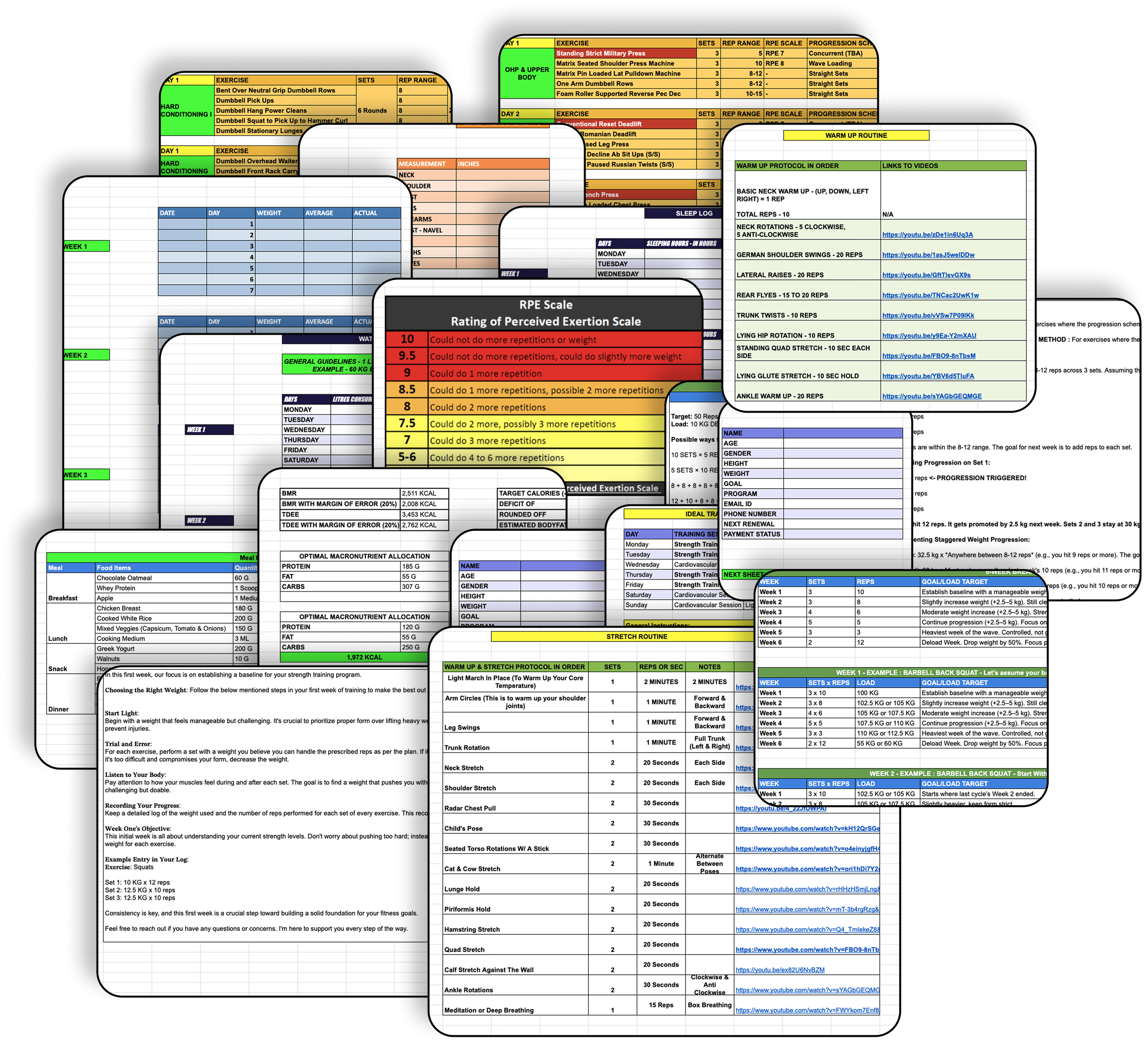 Eighteen spreadsheets every coach's client updates daily — diet sheets, workout logs, progress trackers, measurement tables